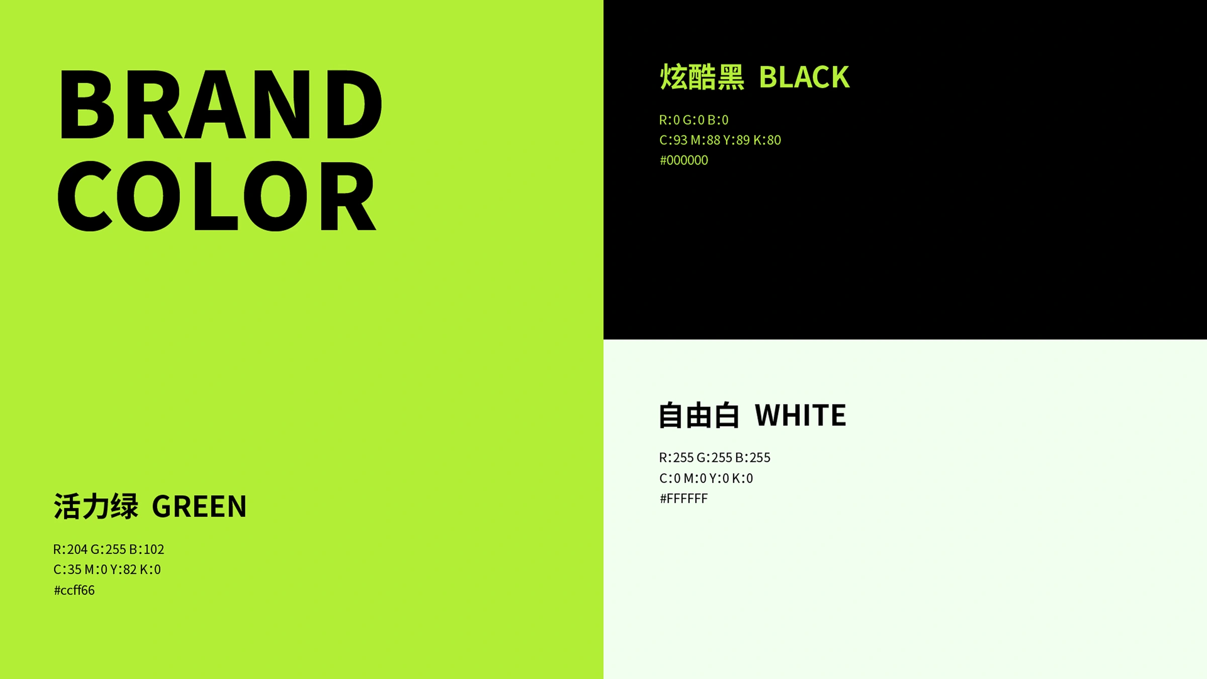 “拓界者”户外品牌 · 作品展示 8